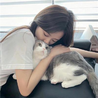 怪猫